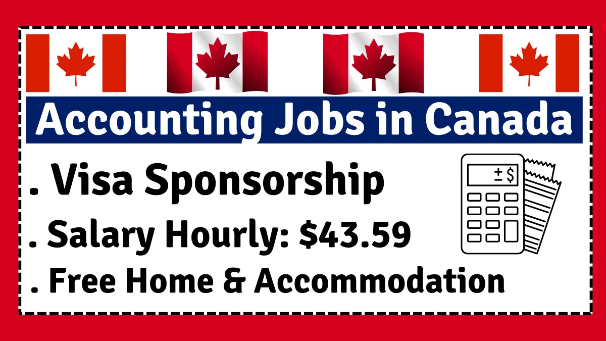 Accounting Jobs In Canada.webp