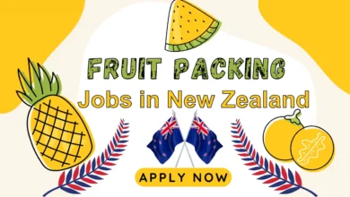 Fruit Packing Jobs in New Zealand With Visa Sponsorship