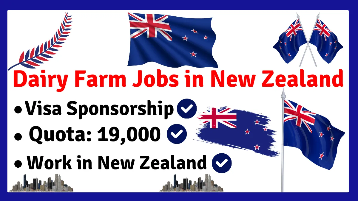 Dairy Farm Jobs in New Zealand with Visa Sponsorship