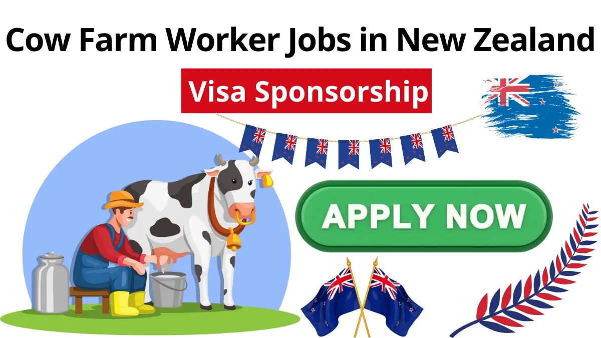 Cow Farm Worker Jobs in New Zealand with Visa Sponsorship 2024