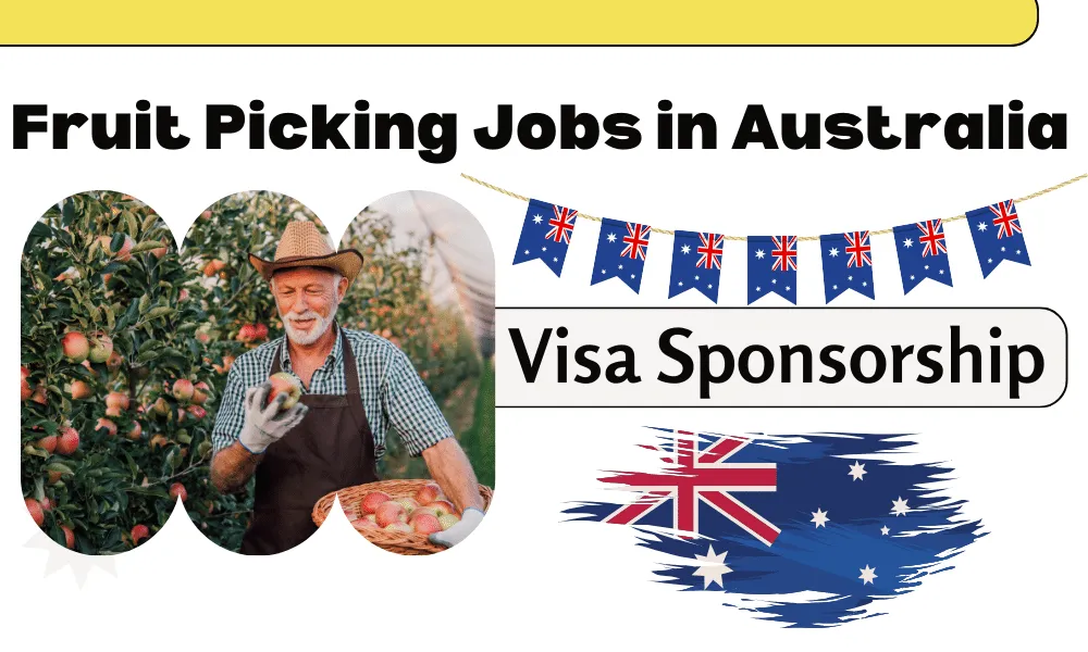 Fruit Picking Jobs in Australia with Visa Sponsorship 2024