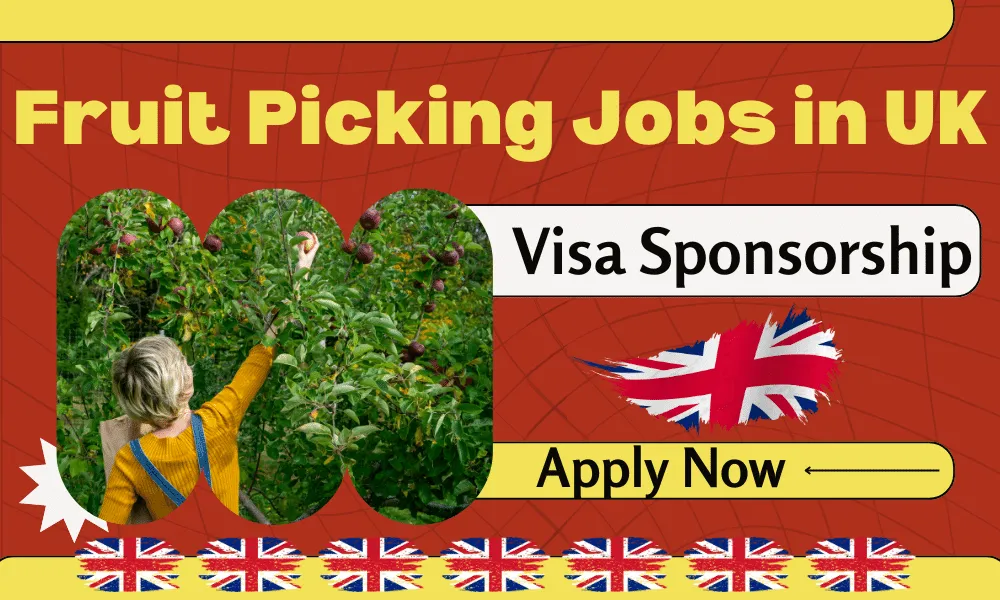 Fruit Picking Jobs In Uk With Visa Sponsorship 2024