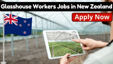 Glasshouse Workers Jobs in New Zealand 2024