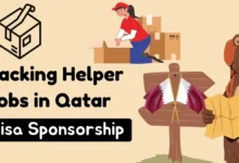 Packing Helper Jobs in Qatar with Visa Sponsorship 2024